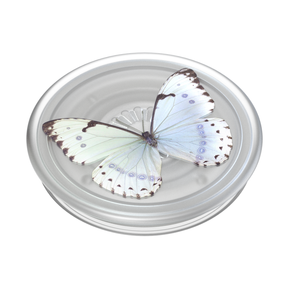 PopSockets Plant - Based Phone Grip - Whisper Moth