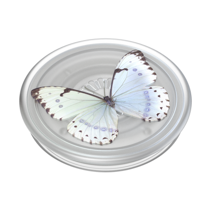 PopSockets Plant - Based Phone Grip - Whisper Moth