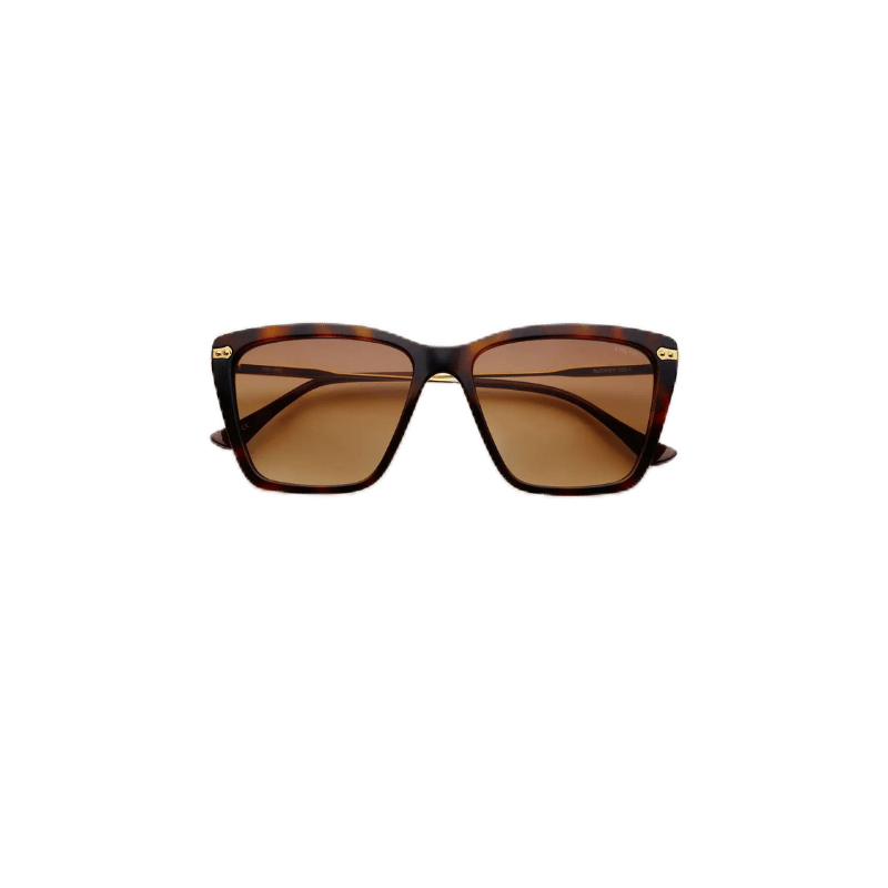 Audrey Tortoise Brown Sunglasses