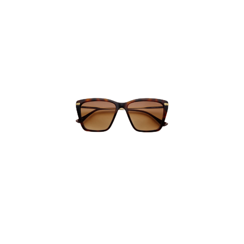 Audrey Tortoise Brown Sunglasses